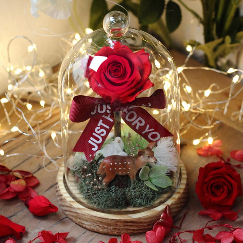 Piros Halhatatlanság Virág Rózsa Lámpás Sárga Üvegborító Dísz Valentin-napi Virágajándék Születésnapi Vagy Évfordulós Ajándék Barátnőnek