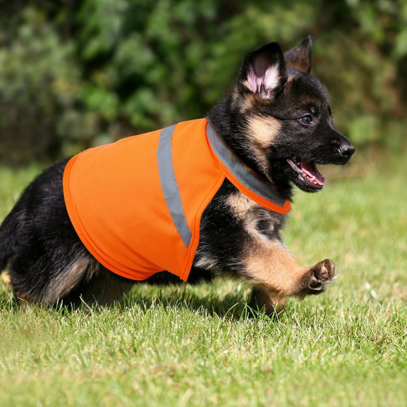 2 Színben Pet Dog Fényvisszaverő Éjszakai Ruházat Kiskutya Biztonsági Mellény