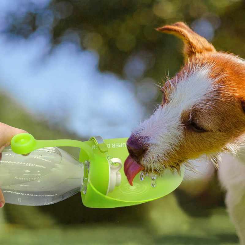 650 Ml-es Sport Hordozható Leveles Kisállat Kutyás Kulacs Bővíthető Bpa Mentes Szilikon Utazó Kutyapalack Tál