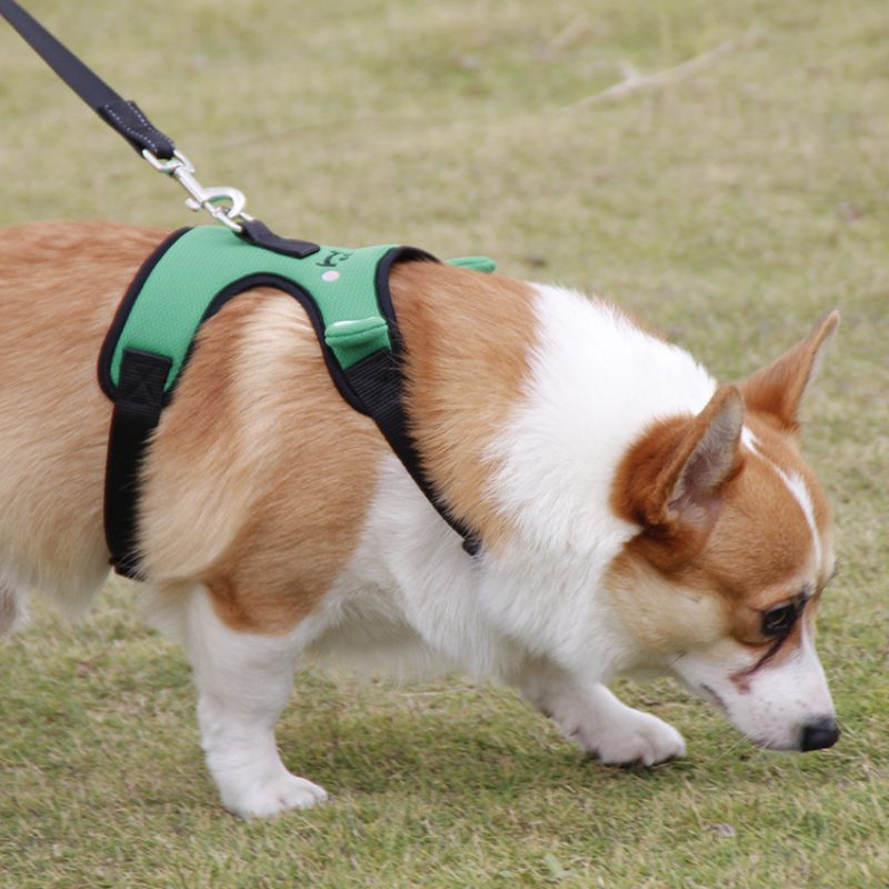 Aranyos Béka Kutya Mellkaspánt Corgi Fight Traction Mellény Háziállatok Számára