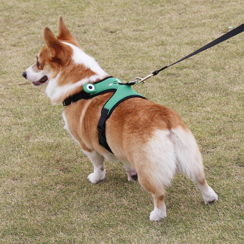 Aranyos Béka Kutya Mellkaspánt Corgi Fight Traction Mellény Háziállatok Számára