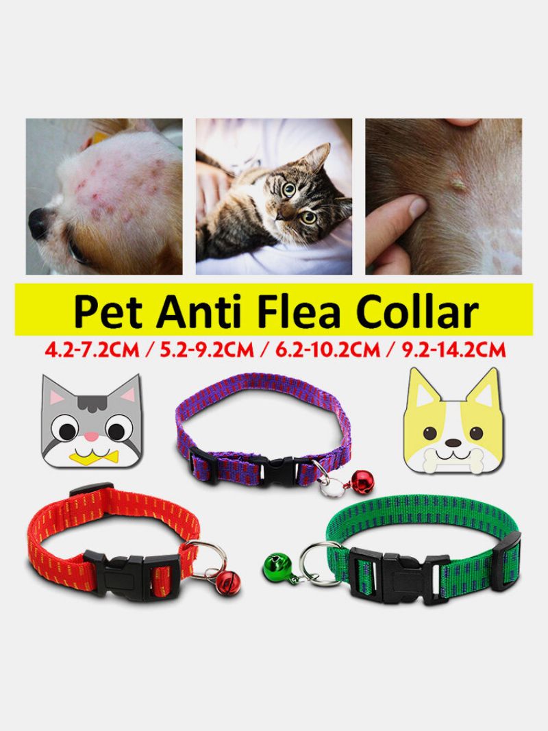 Cat Anti Flea Ring Dog Insect Bell Nyakörv