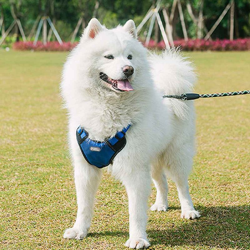 Kutya Vontatókötél Pet Keménységű Lánc Közepes Méretű Kutyakötél Állítható Biztonsági Utazólánc