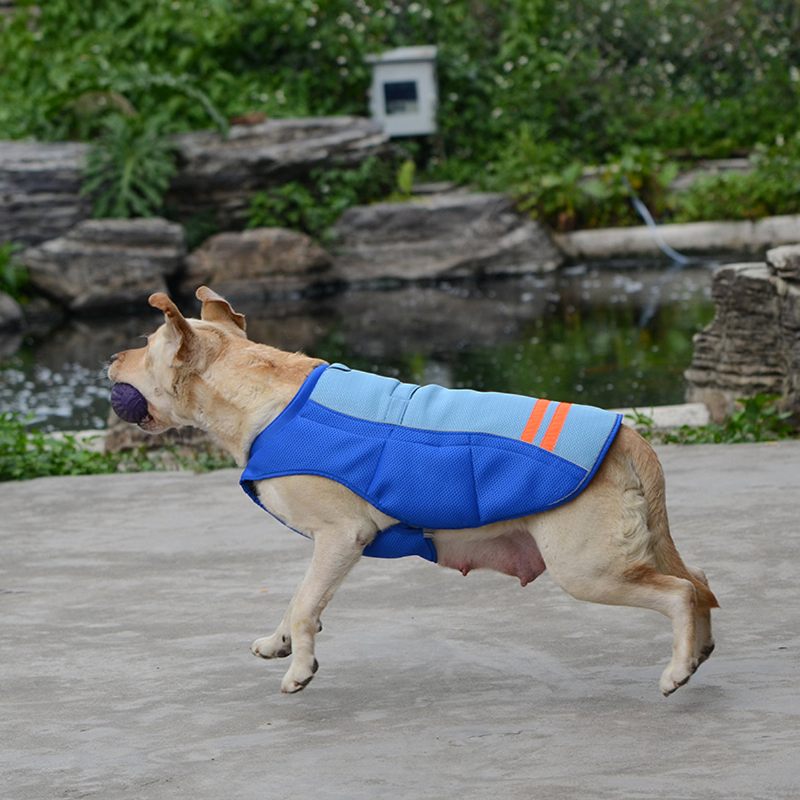 Pet Dog Cool Vest Légáteresztő Kényelmes Fényvédő Hűsítő Ruházat Kisállat Dzseki