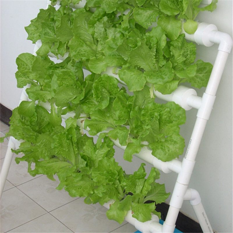 36-lyuk-4-réteg-vízszintes-hidroponikus-grow-kit-garden-plant-zöldség-ültető Grow Box