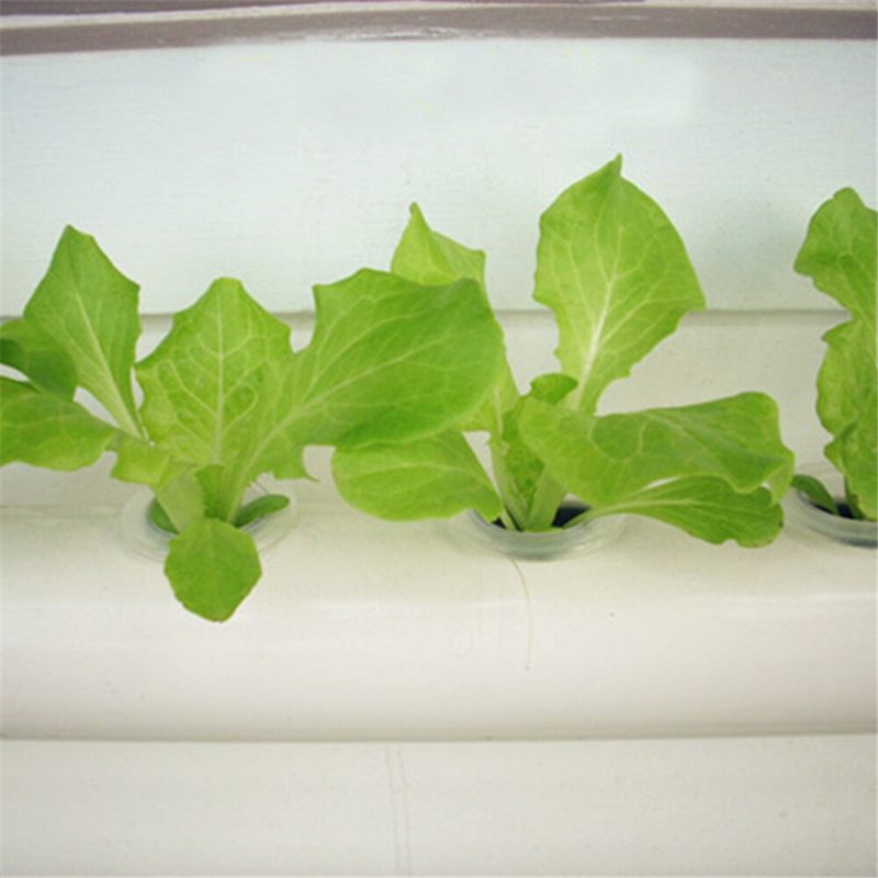 36-lyuk-4-réteg-vízszintes-hidroponikus-grow-kit-garden-plant-zöldség-ültető Grow Box