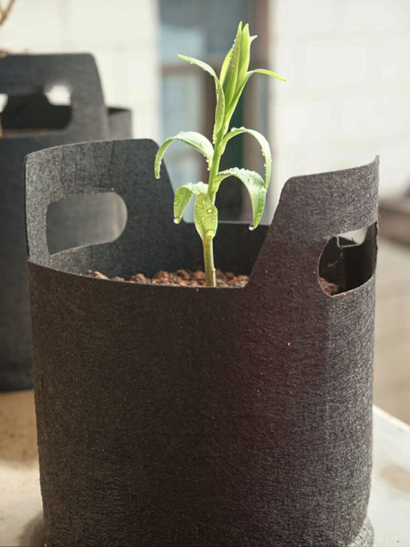 Fekete Nem Szőtt Anyagból Készült Ültetőtáska / Grow Bag Faültetési Táska