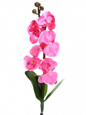 Napenergia Phalaenopsis Kerti Karó Táj Lámpa Pillangó Orchidea Kültéri Udvari Világítás