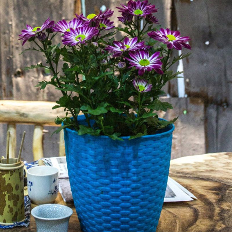 Rattan Resin Plants Pot Kertészet Dekoráció Kis Virágcserép