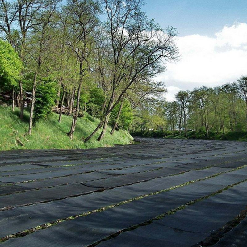 Shatex 140gsm Kültéri Fényvédő Tekercs Árnyékoló Kendő 90% Uv Blokk 6x15 Láb Fekete Kerti Termesztés